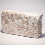 Mycelium Design – NWO Grant Mycelium Design – NWO Grant