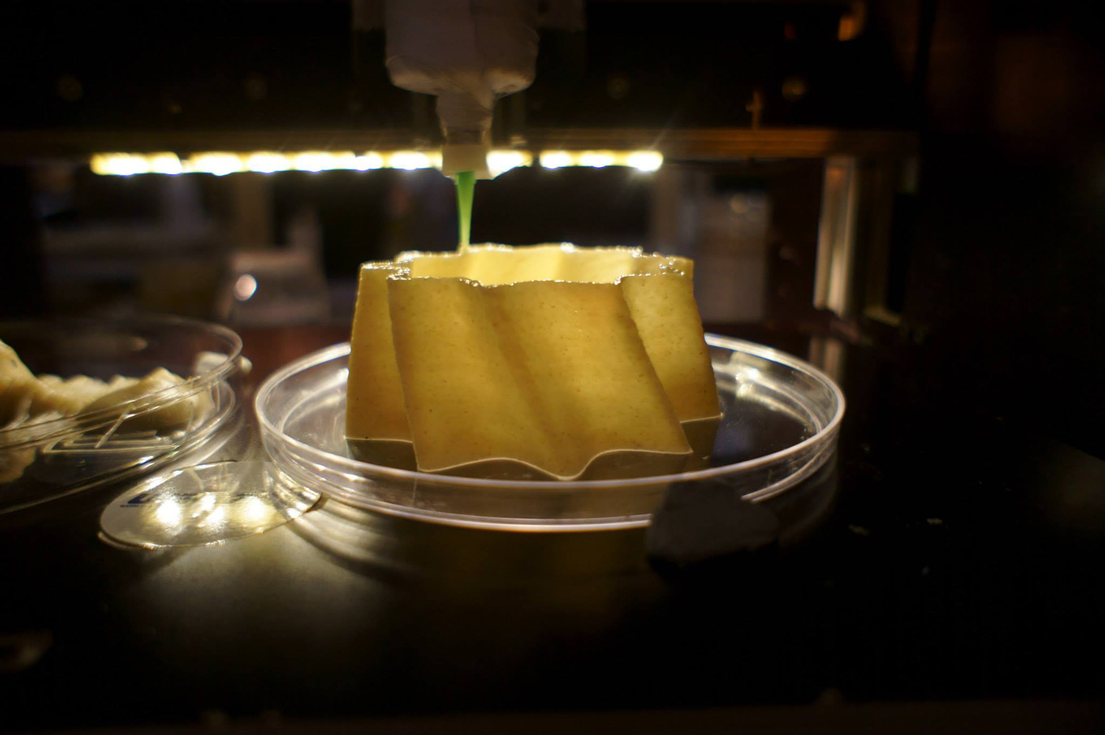 Officina Corpuscoli–BioLogic-organic 3d