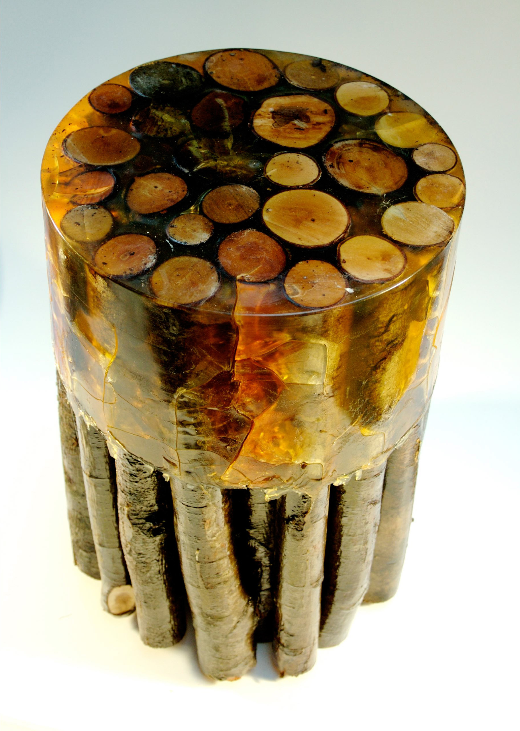 log2008 top ©Officina Corpuscoli | Maurizio Montalti