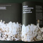 SPACE10 / IMAGINE #0 – mag feature OC SPACE10 / IMAGINE #0 – mag feature OC