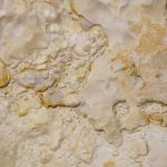 Lecture // Materiology II – @materiO’ & UMPRUM – Prague (CZ) Lecture // Materiology II – @materiO’ & UMPRUM – Prague (CZ)