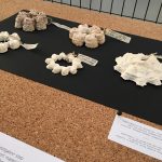 AARM project Exhibition – Turin AARM project Exhibition – Turin